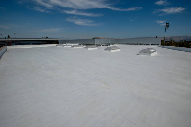 Professional Roofing Service in Trainer, PA