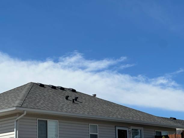 Best Wood Shake Roofing  in Trainer, PA
